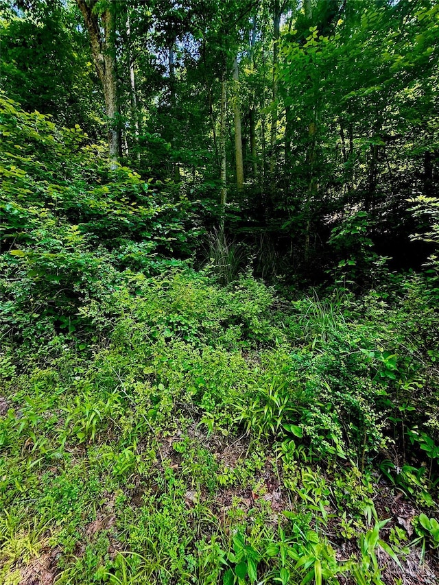 700 Wooded Mountain Trl, Mars Hill, NC 28754