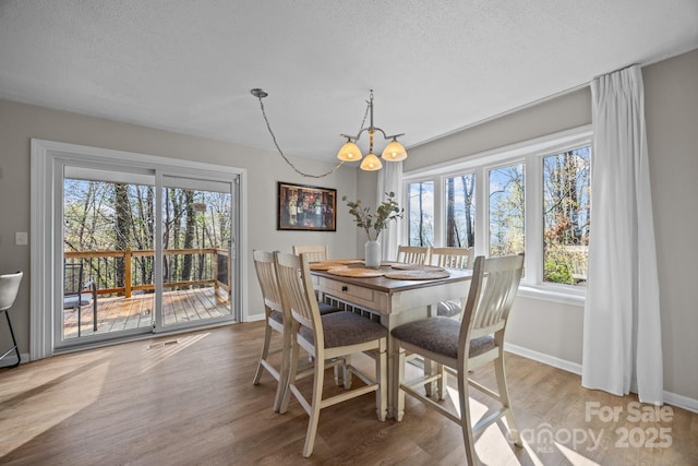 159 Long John Dr, Hendersonville, NC 28791 - dining space featuring baseboards, a notable chandelier, wood finished floors, and a healthy amount of sunlight