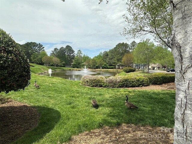 9305 Four Mile Creek Rd, Charlotte, NC 28277 - view of home's community with a yard and a water view