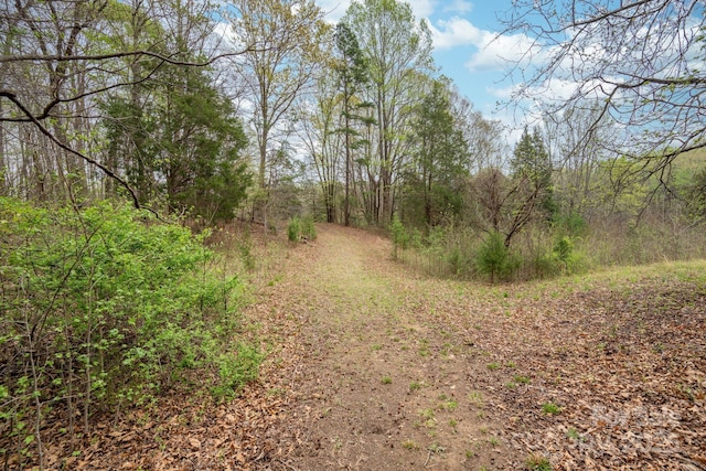 243 Terrie Dr, Winston Salem, NC 27107 - photo 44