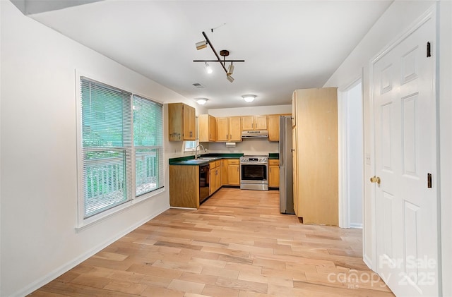 kitchen featuring light wood-style floors, under cabinet range hood, dark countertops, a sink, and stainless steel appliances