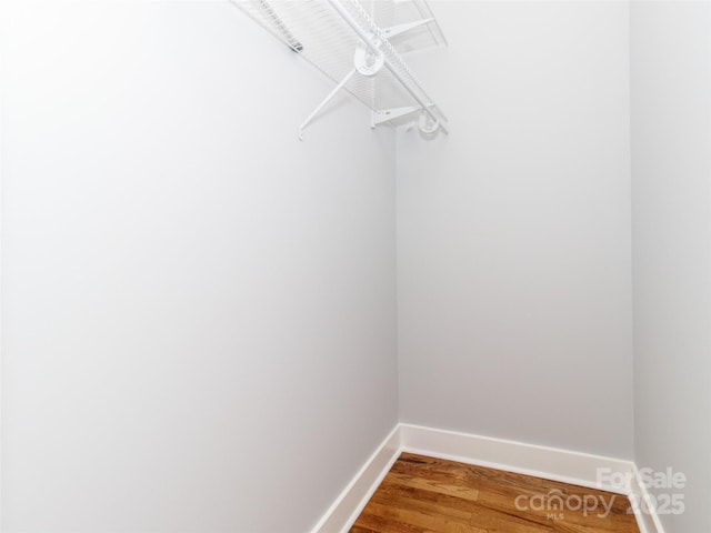 spacious closet featuring wood finished floors