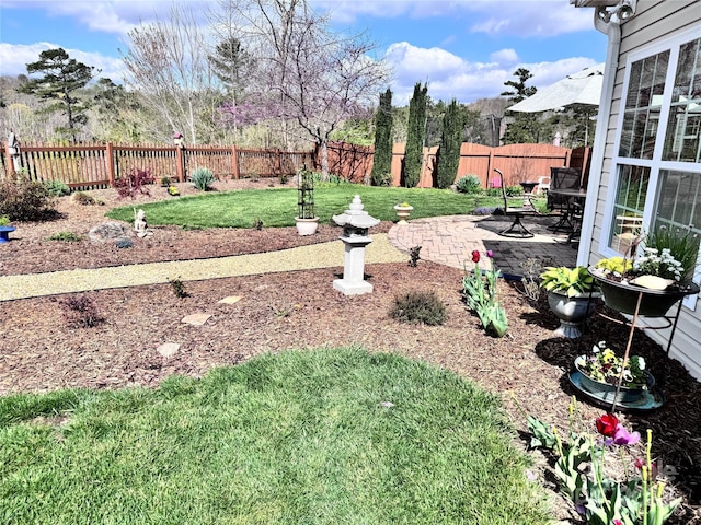 view of yard with a patio area and a fenced backyard