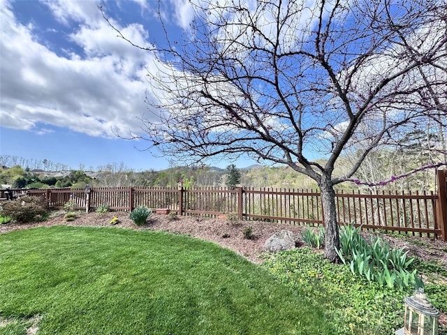 view of yard featuring a fenced backyard