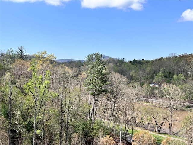 property view of mountains with a wooded view