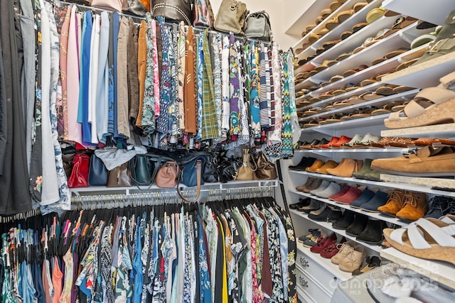view of walk in closet