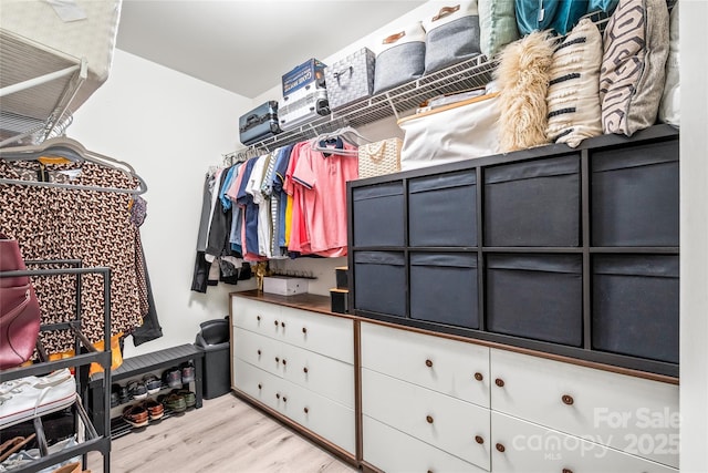 spacious closet featuring wood finished floors