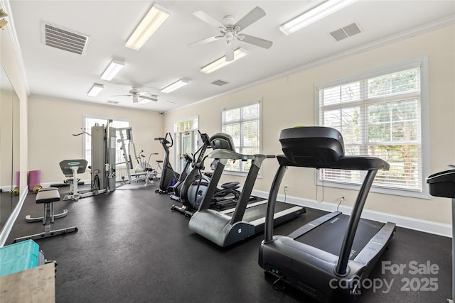 exercise room with a ceiling fan, plenty of natural light, ornamental molding, and baseboards