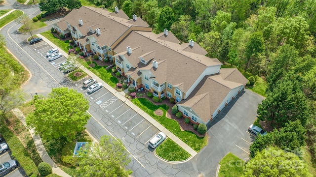 drone / aerial view