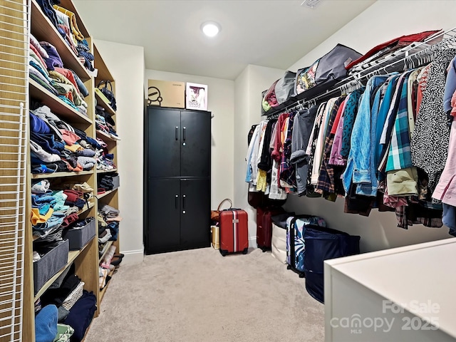 walk in closet with carpet flooring