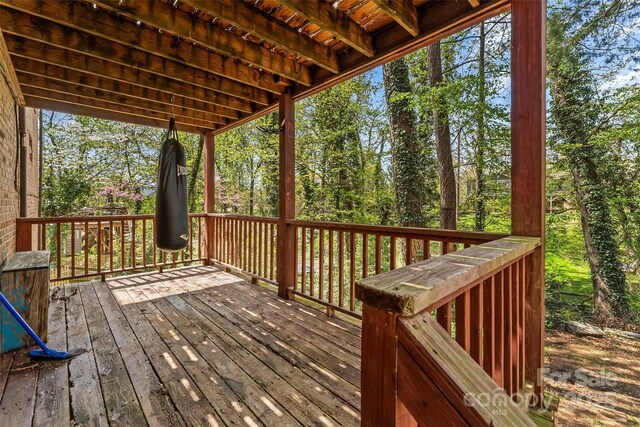 9 Canterbury Rd, Asheville, NC 28805 - view of deck