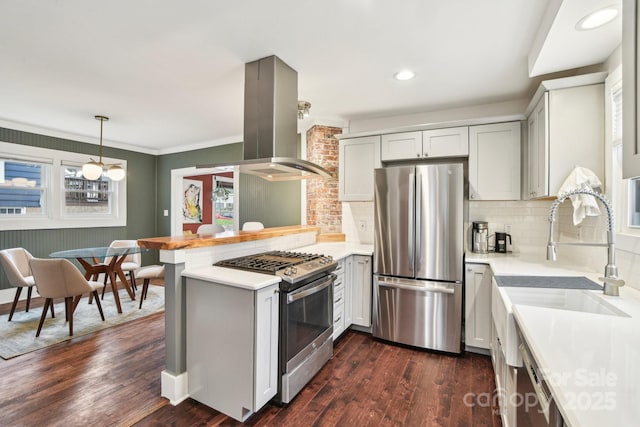kitchen featuring a peninsula, light countertops, stainless steel appliances, island range hood, and backsplash