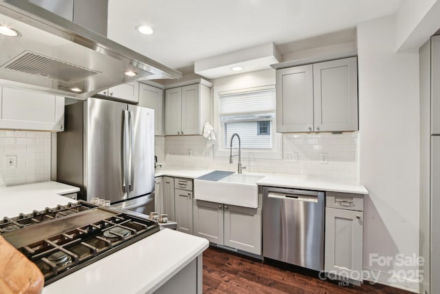 kitchen featuring gray cabinetry, a sink, exhaust hood, and appliances with stainless steel finishes