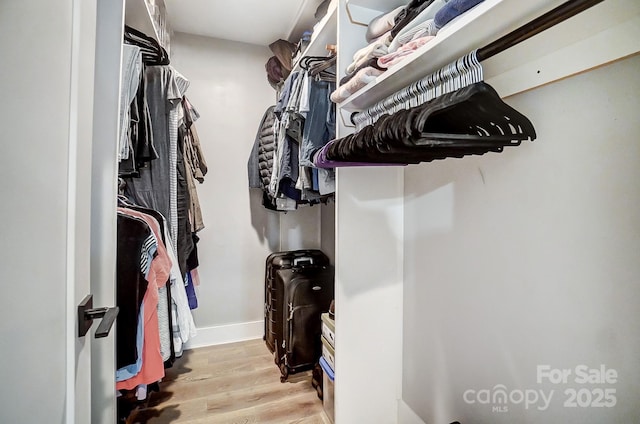 3612 Cobbleridge Dr, Charlotte, NC 28215 - spacious closet with light wood-style floors