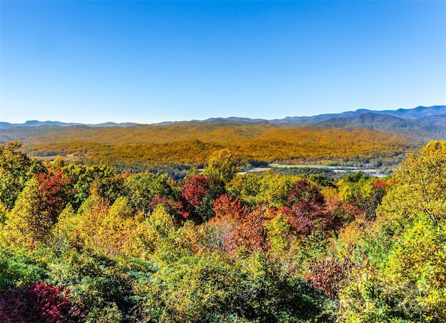 view of mountain feature featuring a view of trees