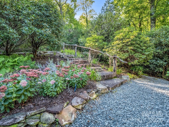 view of yard featuring a vegetable garden