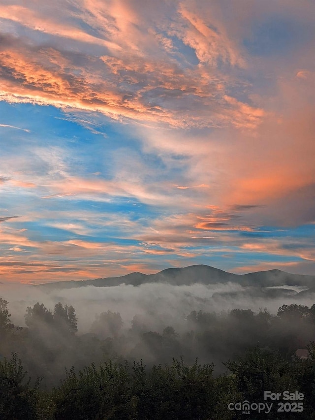 mountain view