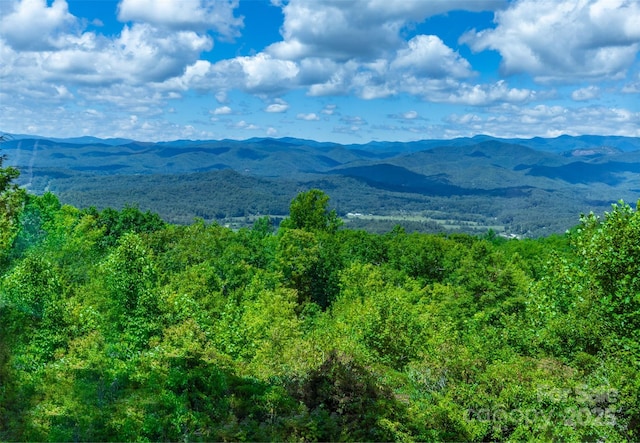 mountain view