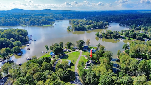 3915 Chevlot Hills Rd, Sherrills Ford, NC 28673 - view of property location featuring a large body of water and a heavily wooded area