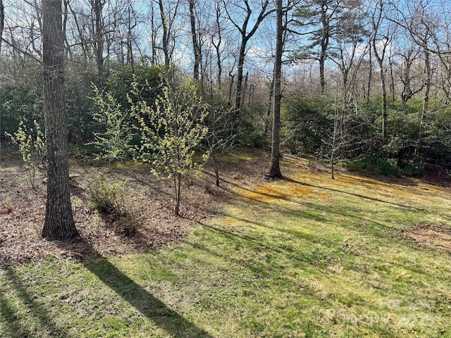 180 Dalton Ln, Black Mountain, NC 28711 - photo 34