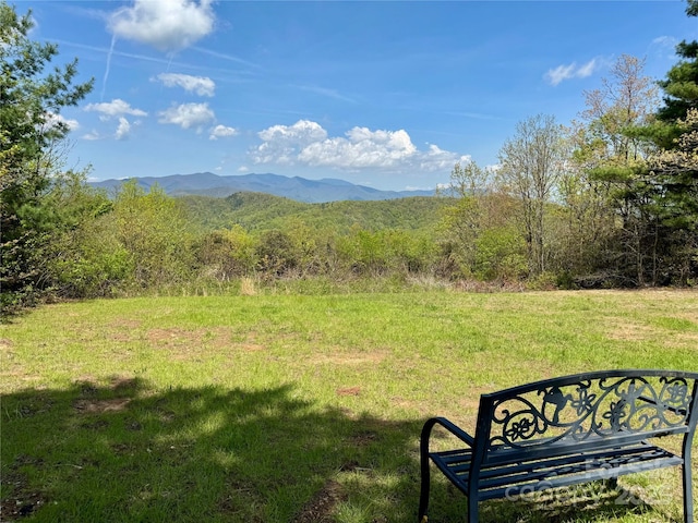 180 Dalton Ln, Black Mountain, NC 28711 - photo 47