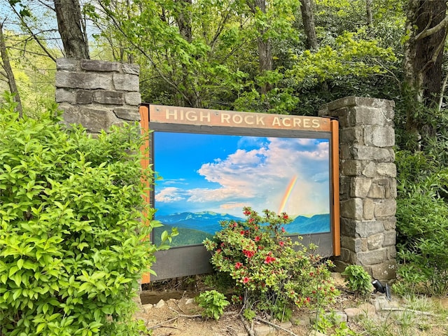 180 Dalton Ln, Black Mountain, NC 28711 - photo 48