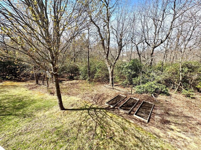 180 Dalton Ln, Black Mountain, NC 28711 - photo 37