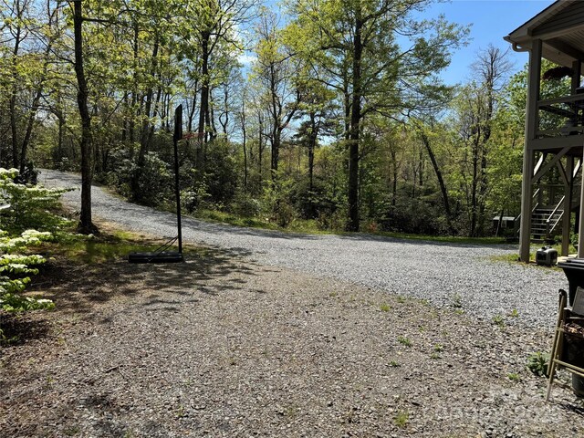 180 Dalton Ln, Black Mountain, NC 28711 - photo 39