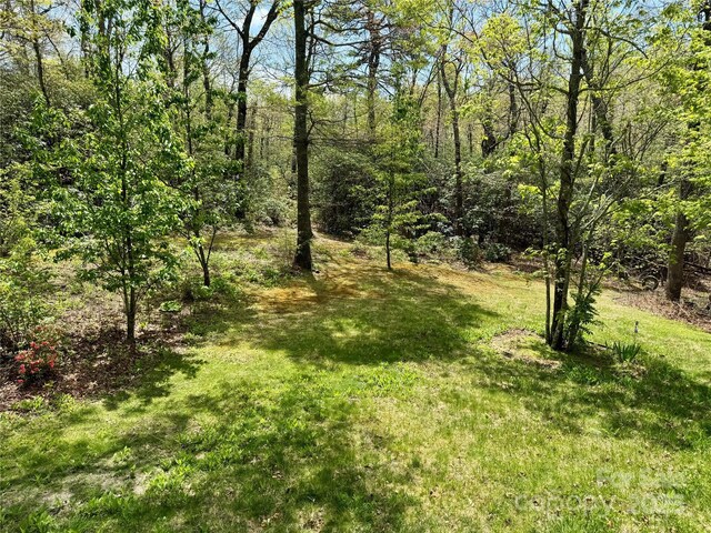 180 Dalton Ln, Black Mountain, NC 28711 - photo 43