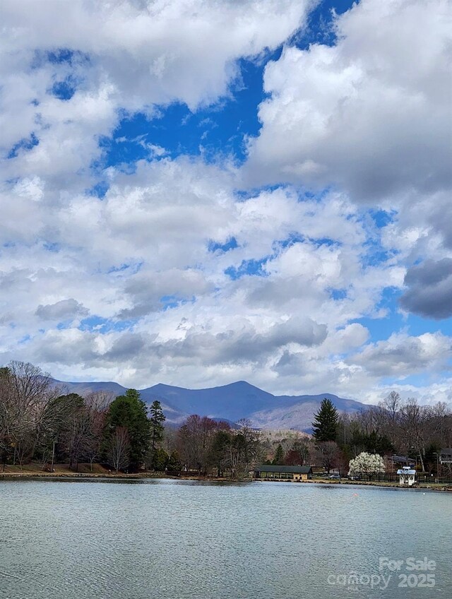 180 Dalton Ln, Black Mountain, NC 28711 - photo 45