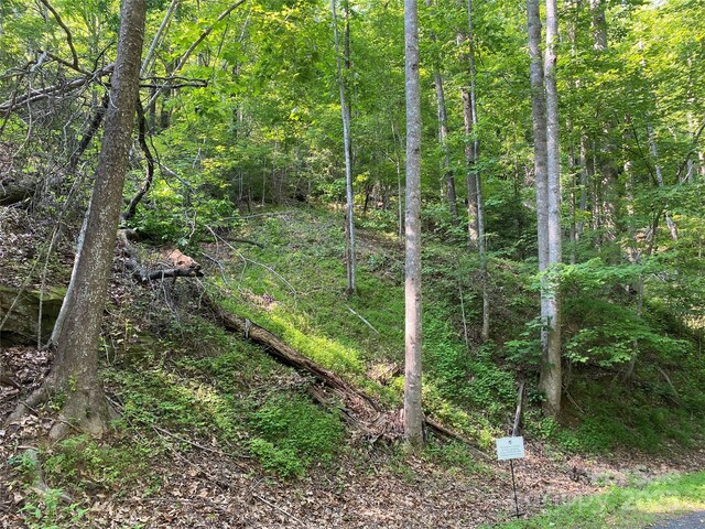 0 S Dr Unit 51, Lake Lure, NC 28746