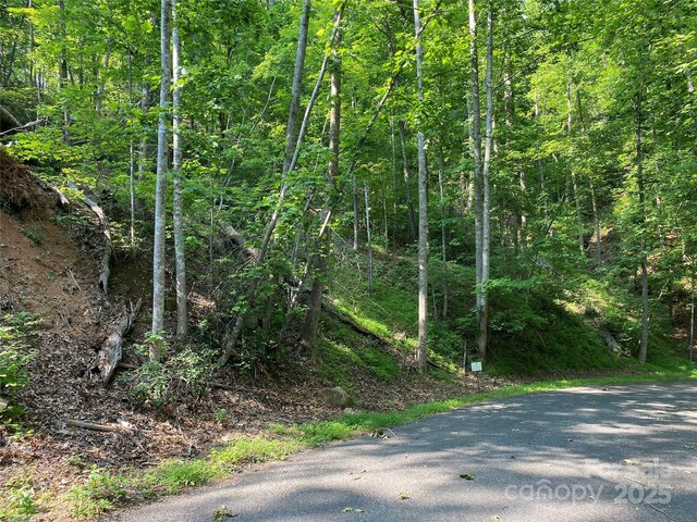 0 S Dr Unit 51, Lake Lure, NC 28746