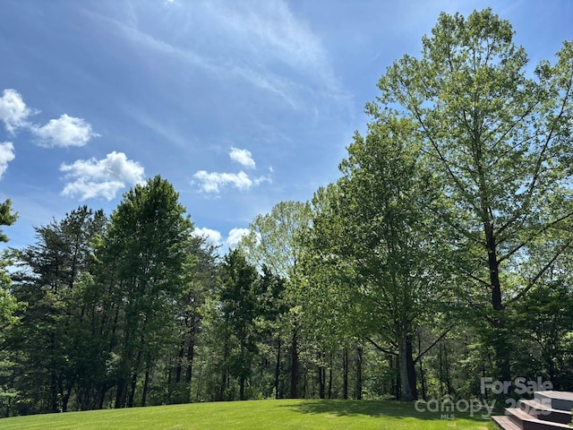 718 Lower Flat Creek Rd, Alexander, NC 28701 - view of undeveloped land