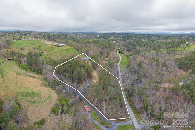 718 Lower Flat Creek Rd, Alexander, NC 28701 - aerial overview of property's location featuring a heavily wooded area and property boundaries highlighted