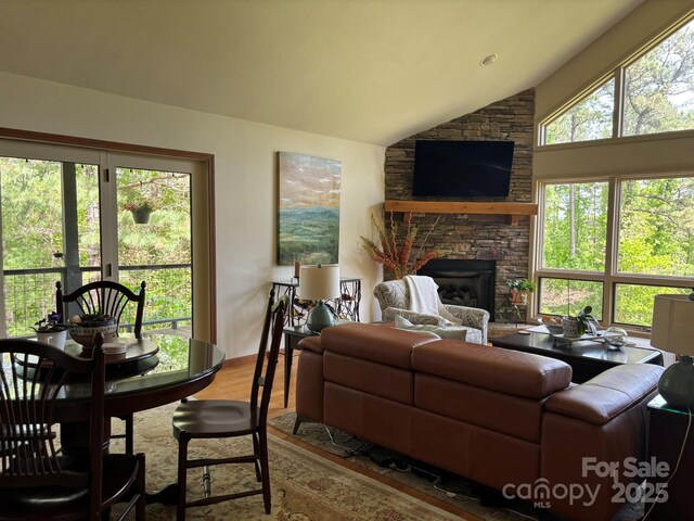 718 Lower Flat Creek Rd, Alexander, NC 28701 - living room featuring wood finished floors, a fireplace, and vaulted ceiling