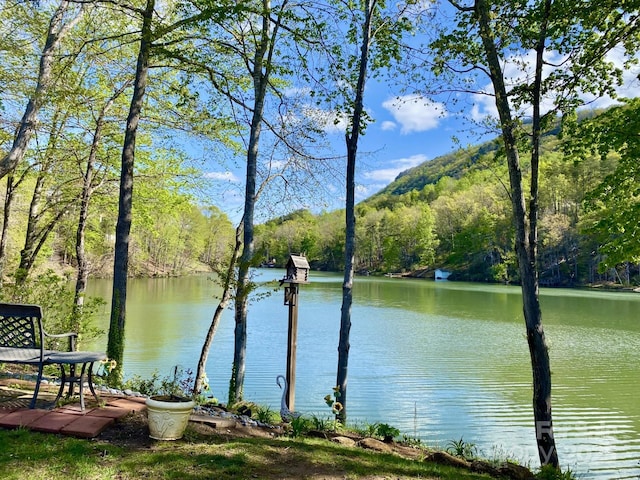 102 W Lake Dr N Unit 106, Lake Lure, NC 28746 - water view featuring a view of trees