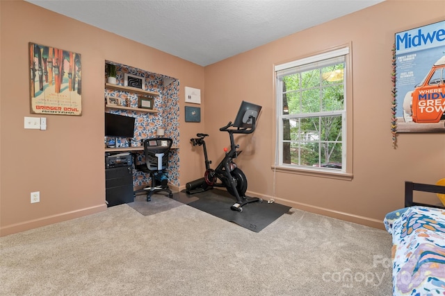 workout room with baseboards, a textured ceiling, and carpet floors