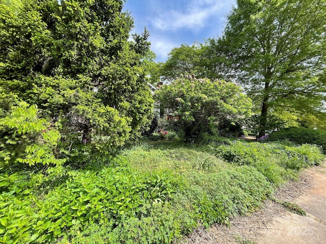 2221 Westminster Pl, Charlotte, NC 28207