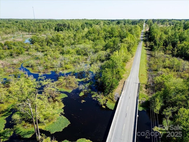 442 Summerhill Rd, Turkey, NC 28393 - birds eye view of property with a wooded view and a water view