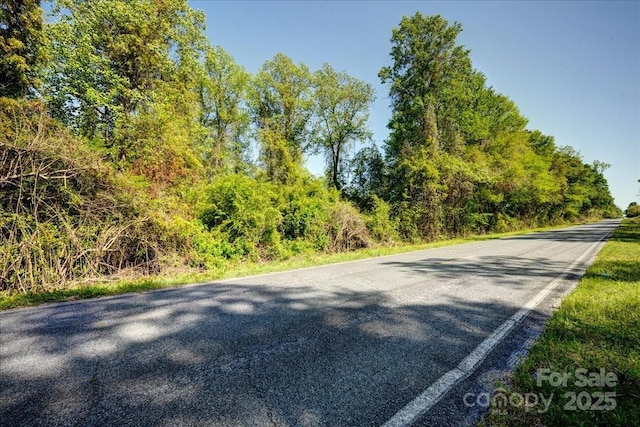 442 Summerhill Rd, Turkey, NC 28393 - view of road with a forest view