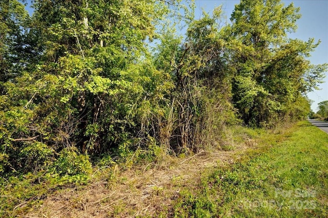 442 Summerhill Rd, Turkey, NC 28393 - view of local wilderness