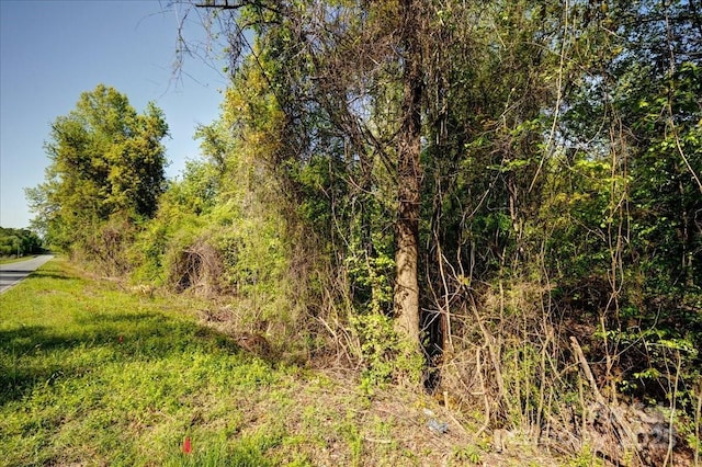 442 Summerhill Rd, Turkey, NC 28393 - view of local wilderness
