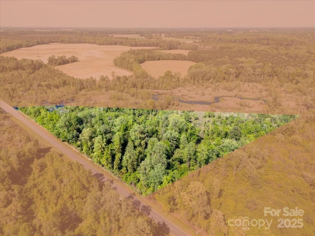 442 Summerhill Rd, Turkey, NC 28393 - bird's eye view with a forest view