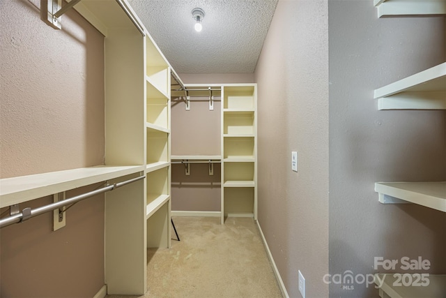 4219 Shasta Cir, Clover, SC 29710 - walk in closet featuring light colored carpet