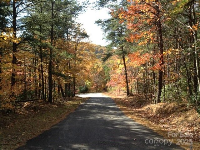 0 Hidden Glory Dr, Landrum, SC 29356