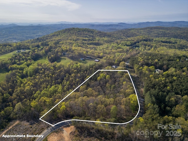 0 Barrett Ridge Ln, Taylorsville, NC 28681 - photo 3