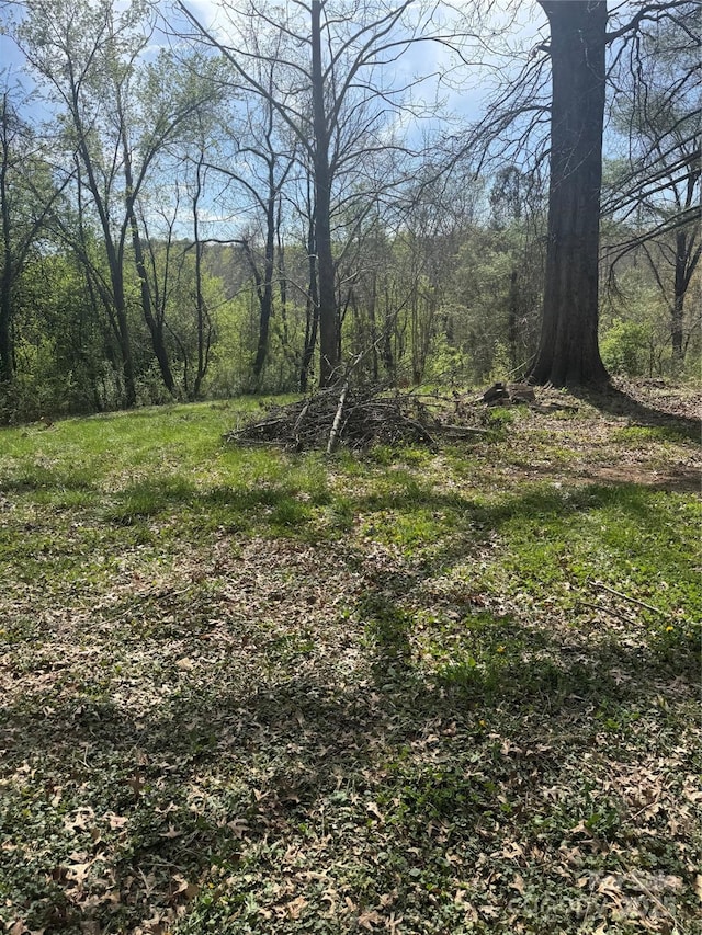 133 Green Pl, Lenoir, NC 28645 - view of local wilderness featuring a wooded view