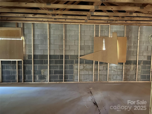 basement featuring concrete block wall