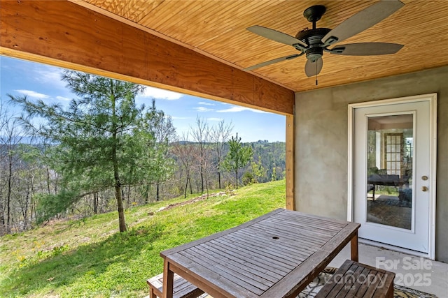 901 Boulder Rd, Marshall, NC 28753 - photo 40