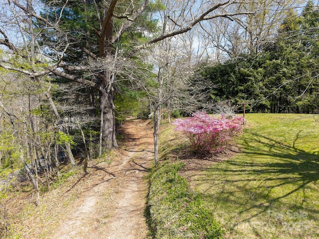 view of yard with a forest view